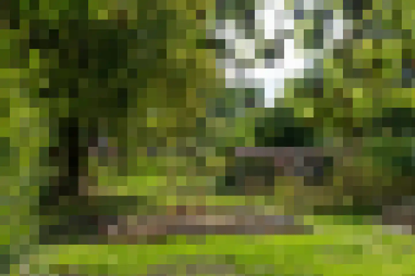 Oudeweg 1 Beerta thumbnail 59