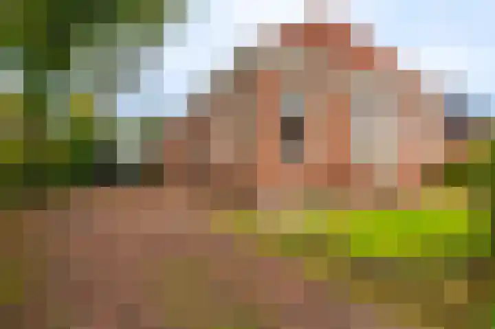 Oudeweg 1 Beerta thumbnail 6