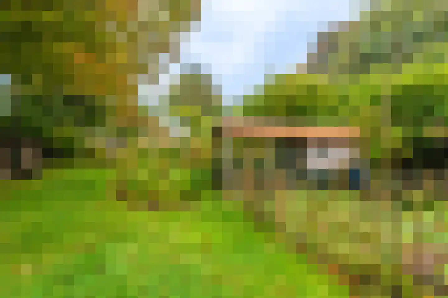 Oudeweg 1 Beerta thumbnail 60