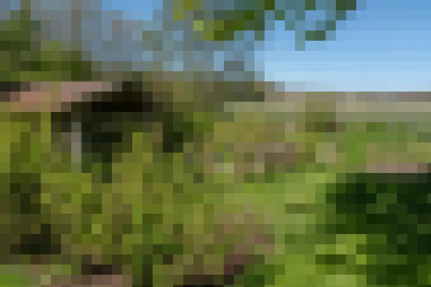 Oudeweg 1 Beerta thumbnail 61