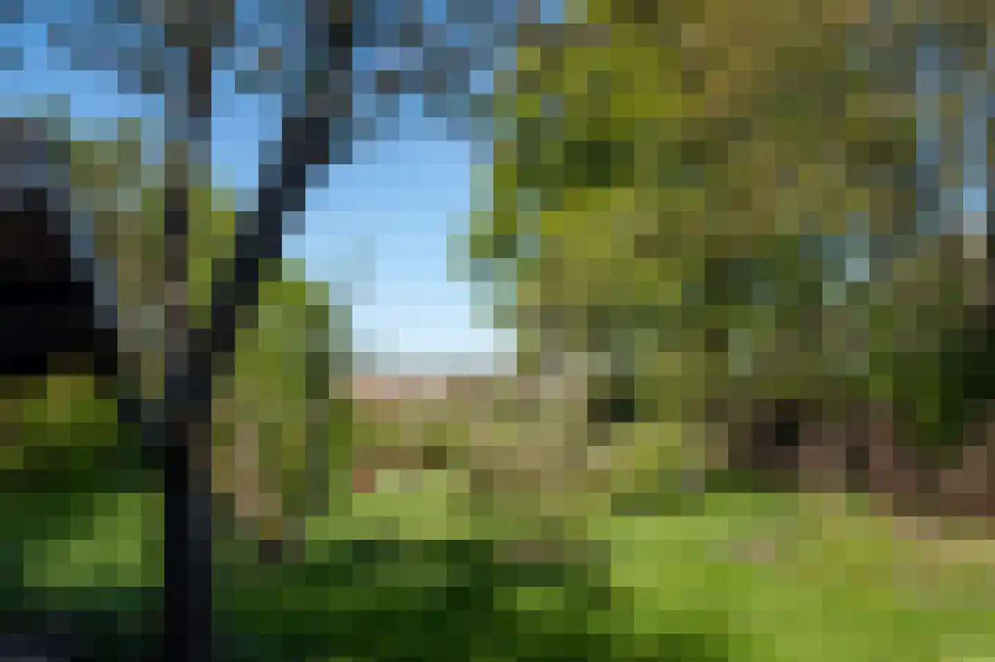 Oudeweg 1 Beerta thumbnail 62