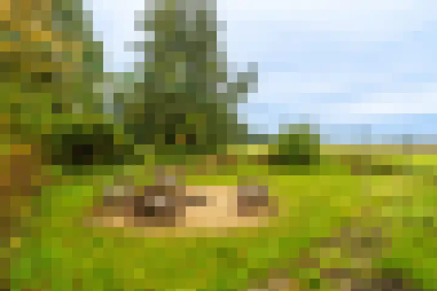 Oudeweg 1 Beerta thumbnail 63