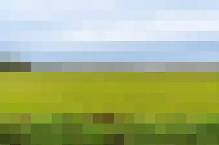 Oudeweg 1 Beerta thumbnail 63