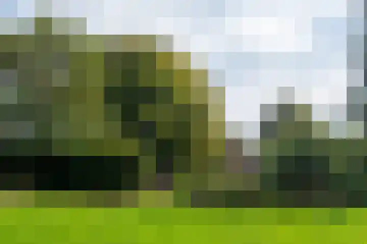 Oudeweg 1 Beerta thumbnail 65