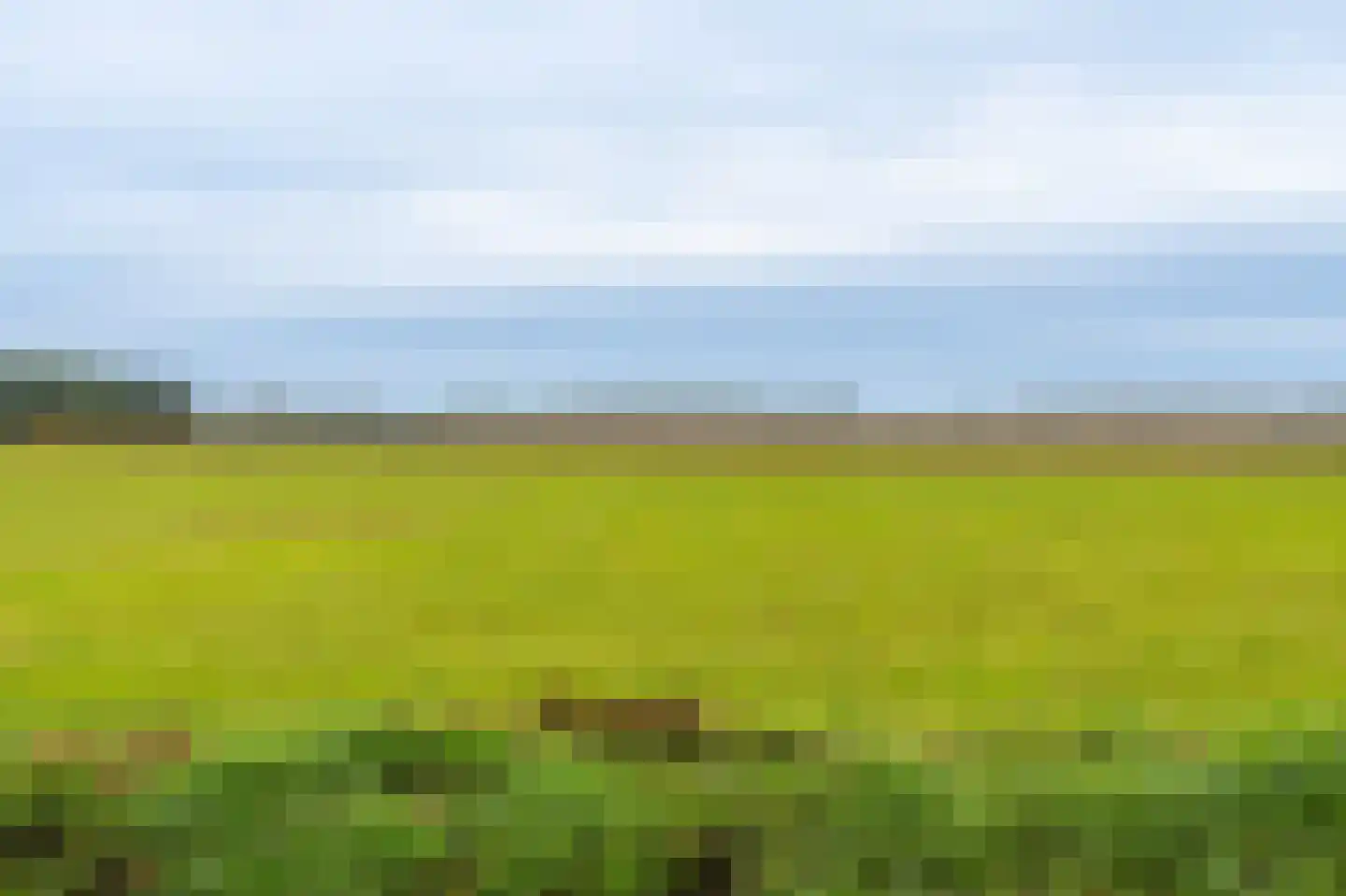 Oudeweg 1 Beerta thumbnail 65