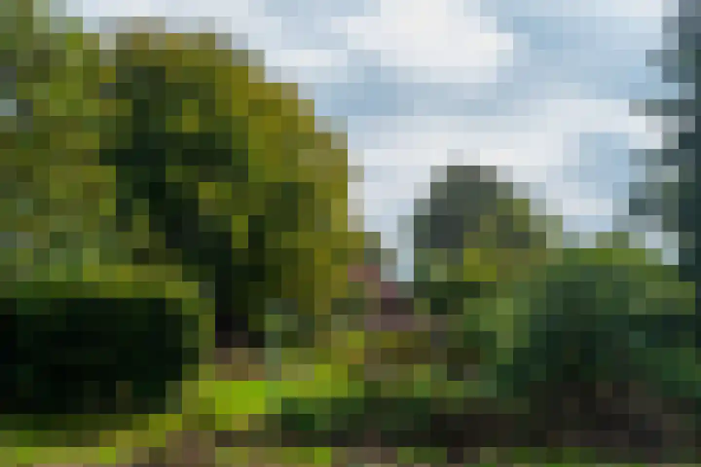 Oudeweg 1 Beerta thumbnail 66
