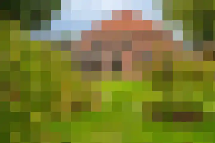 Oudeweg 1 Beerta thumbnail 67