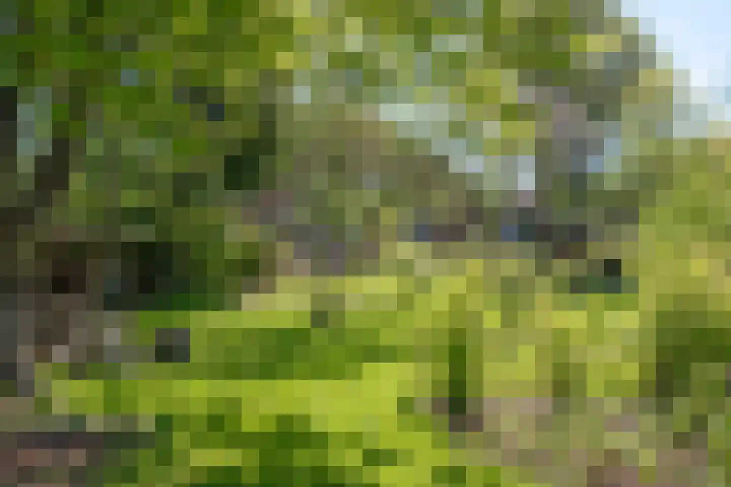 Oudeweg 1 Beerta thumbnail 68