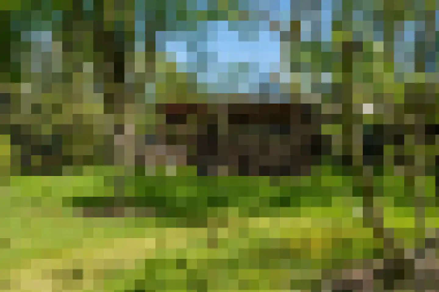 Oudeweg 1 Beerta thumbnail 69