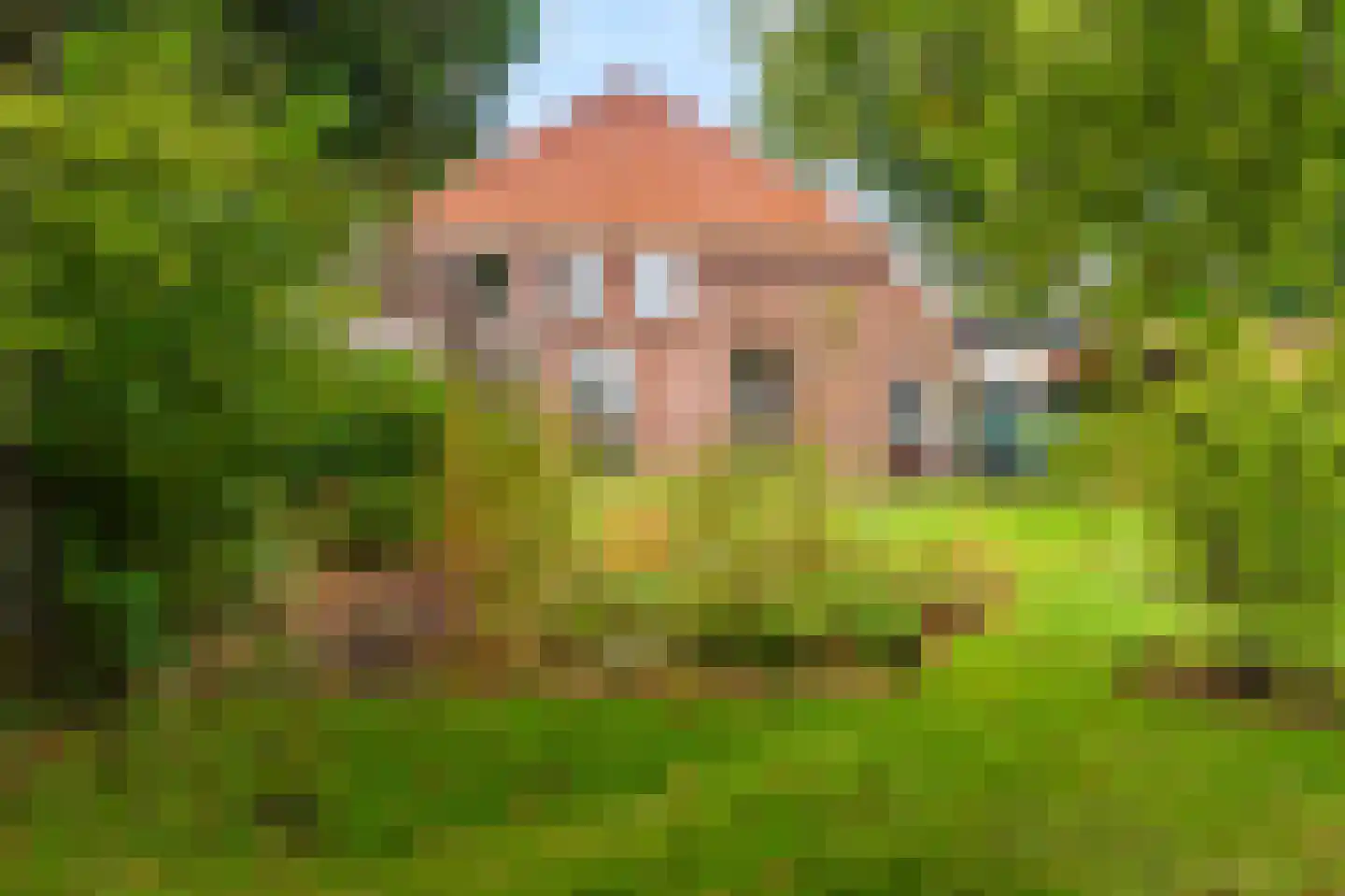 Oudeweg 1 Beerta thumbnail 70