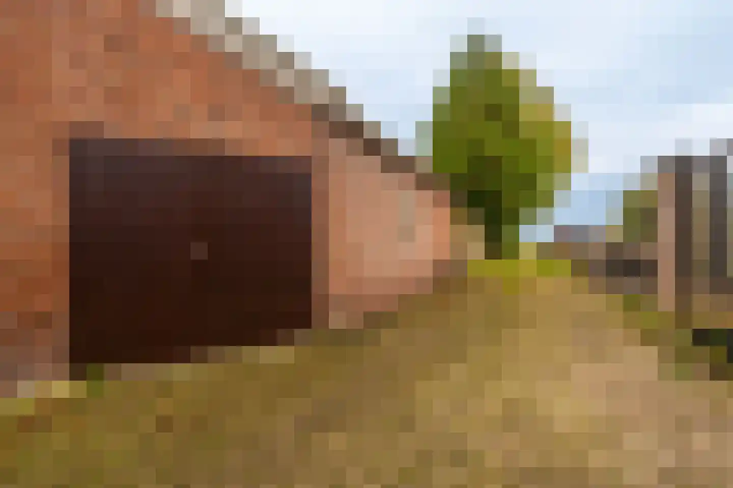 Oudeweg 1 Beerta thumbnail 72
