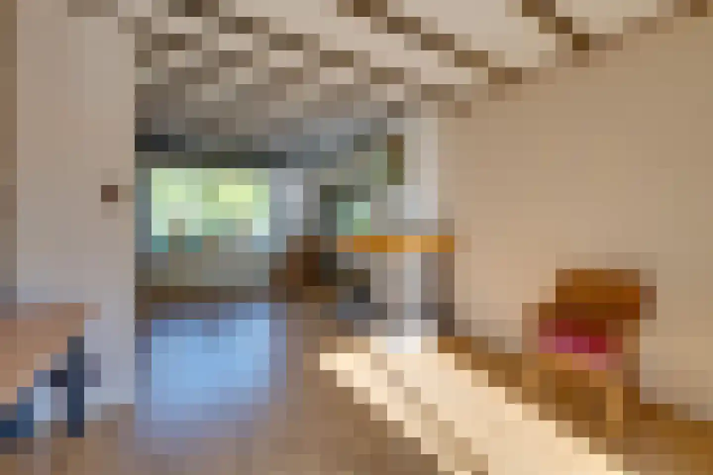 Oudeweg 1 Castricum thumbnail 15