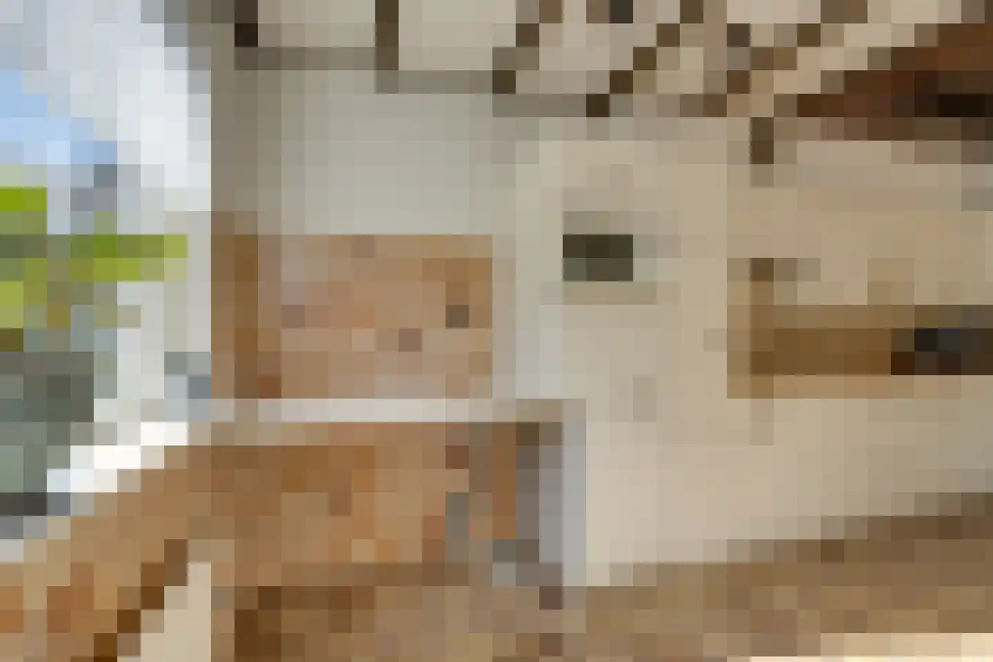 Oudeweg 1 Castricum thumbnail 20