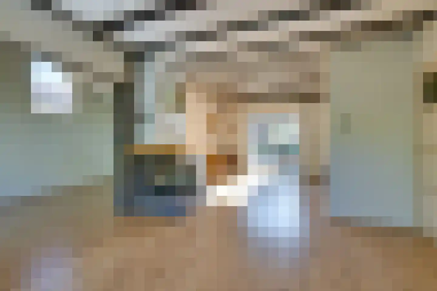Oudeweg 1 Castricum thumbnail 9