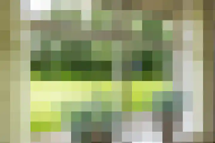 Oudeweg 1 Noordwijk thumbnail 10