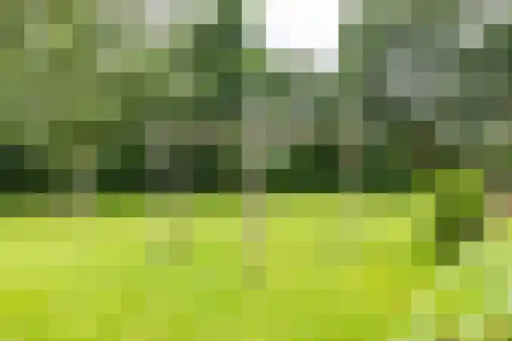 Oudeweg 1 Noordwijk thumbnail 28