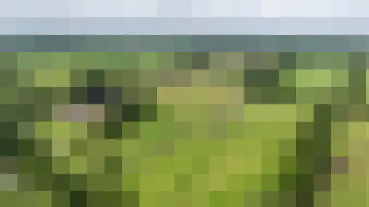 Oudeweg 1 Noordwijk thumbnail 60