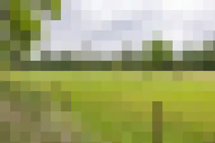 Oudeweg 1 Noordwijk thumbnail 61