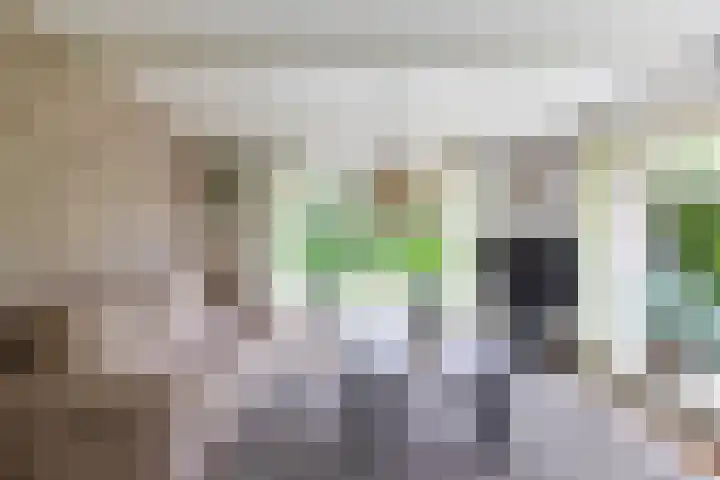 Oudeweg 1 Noordwijk thumbnail 8