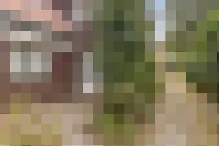 Oudeweg 10 Sittard thumbnail 33