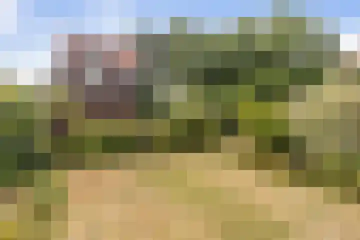 Oudeweg 10 Sittard thumbnail 38