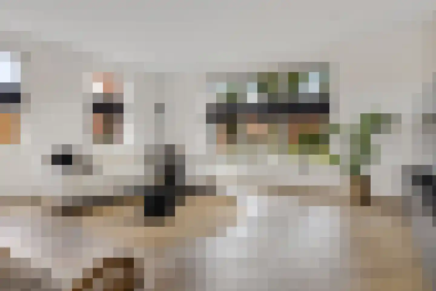 Oudeweg 102 Siddeburen thumbnail 17
