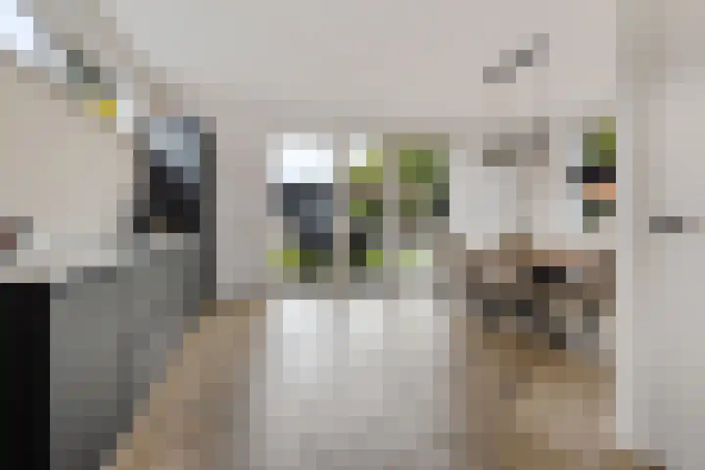 Oudeweg 102 Siddeburen thumbnail 20