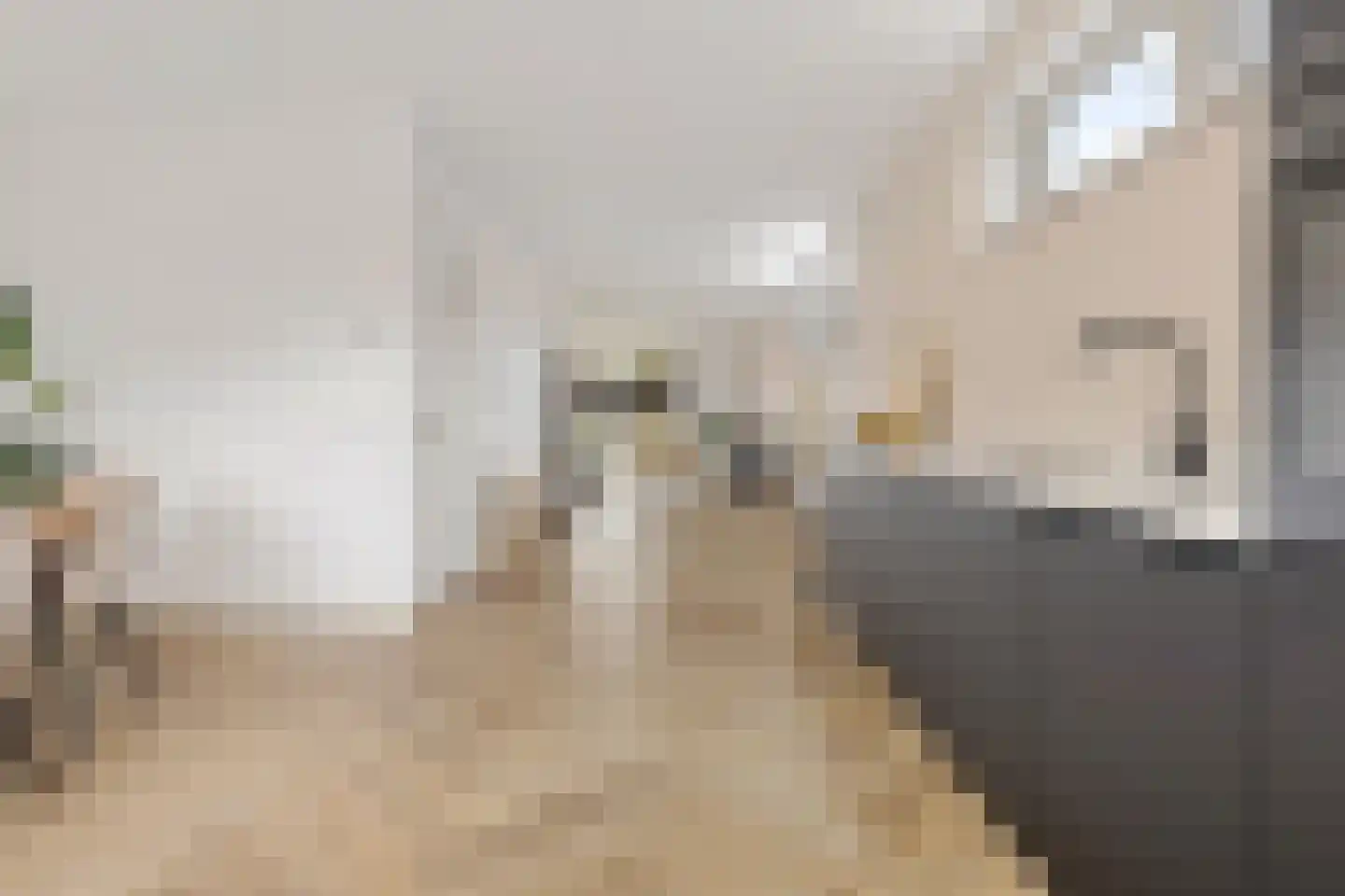 Oudeweg 102 Siddeburen thumbnail 22