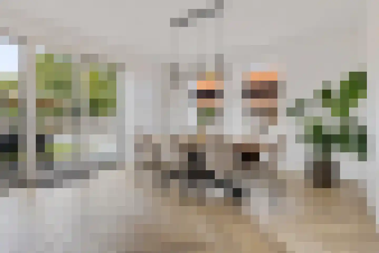 Oudeweg 102 Siddeburen thumbnail 23