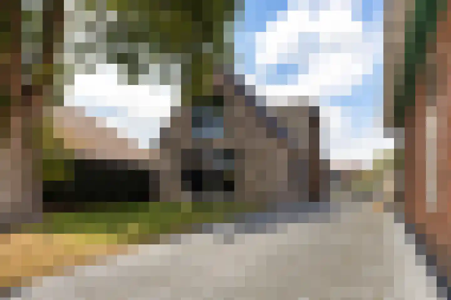Oudeweg 102 Siddeburen thumbnail 9