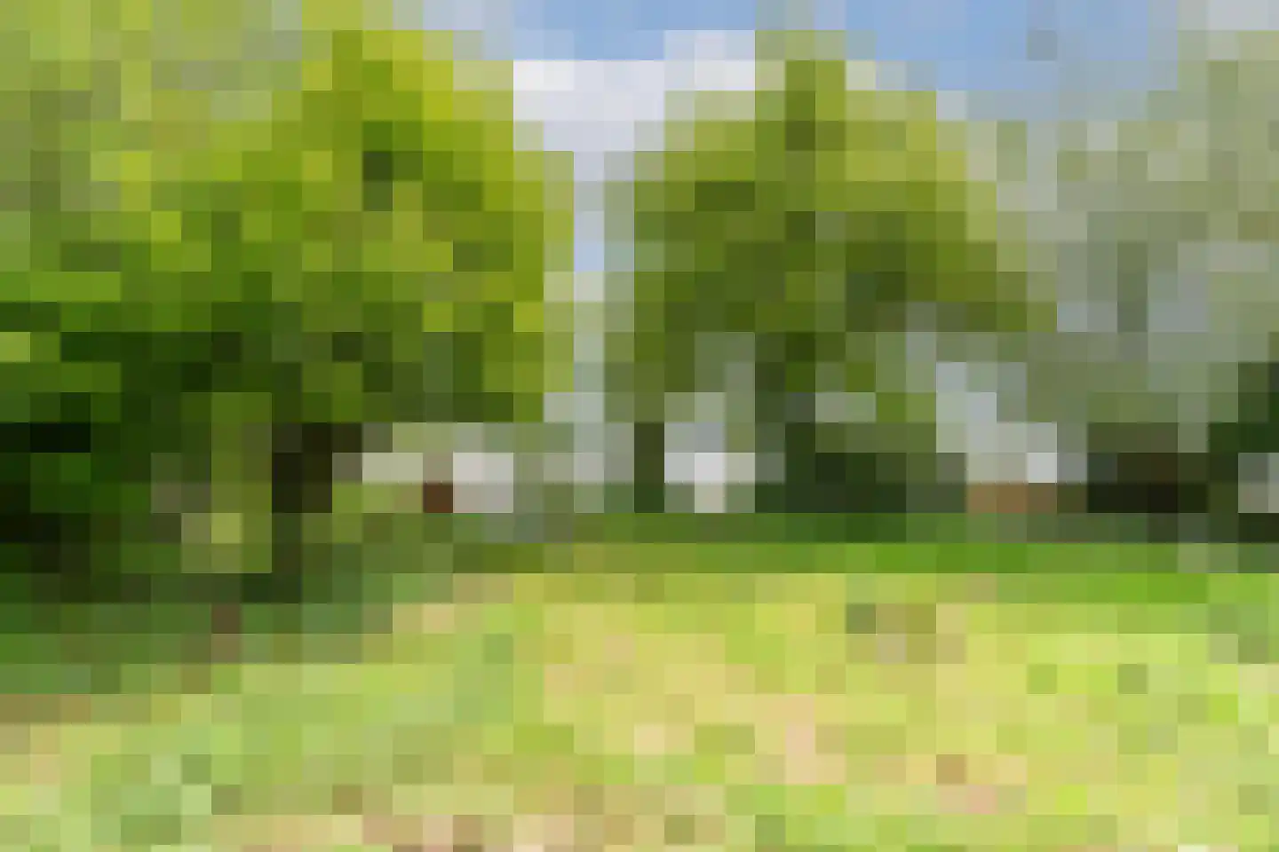 Oudeweg 1095 Reeuwijk thumbnail 22