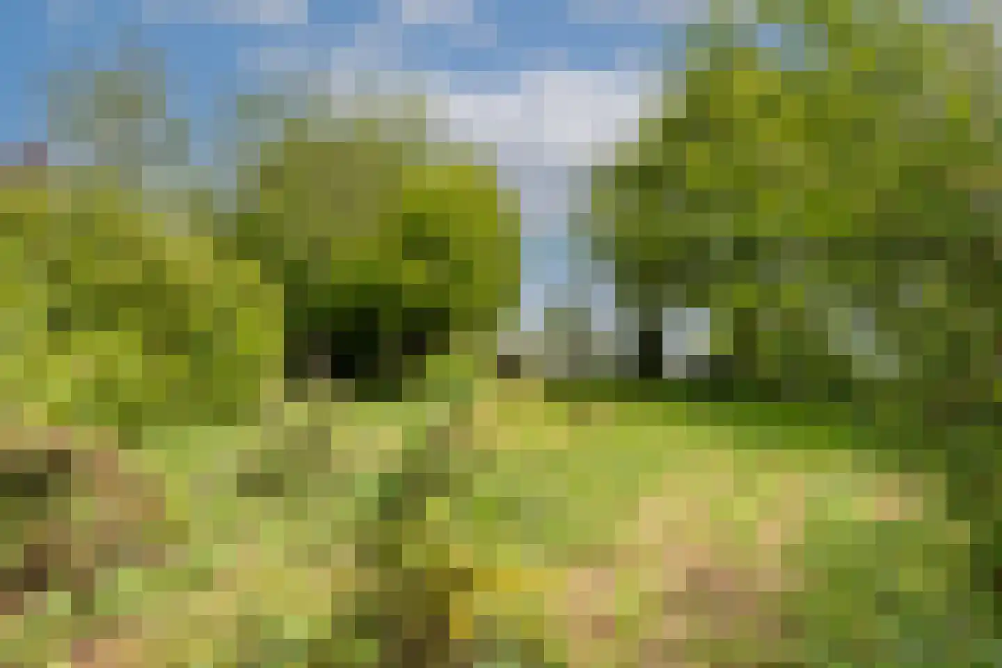 Oudeweg 1095 Reeuwijk thumbnail 4