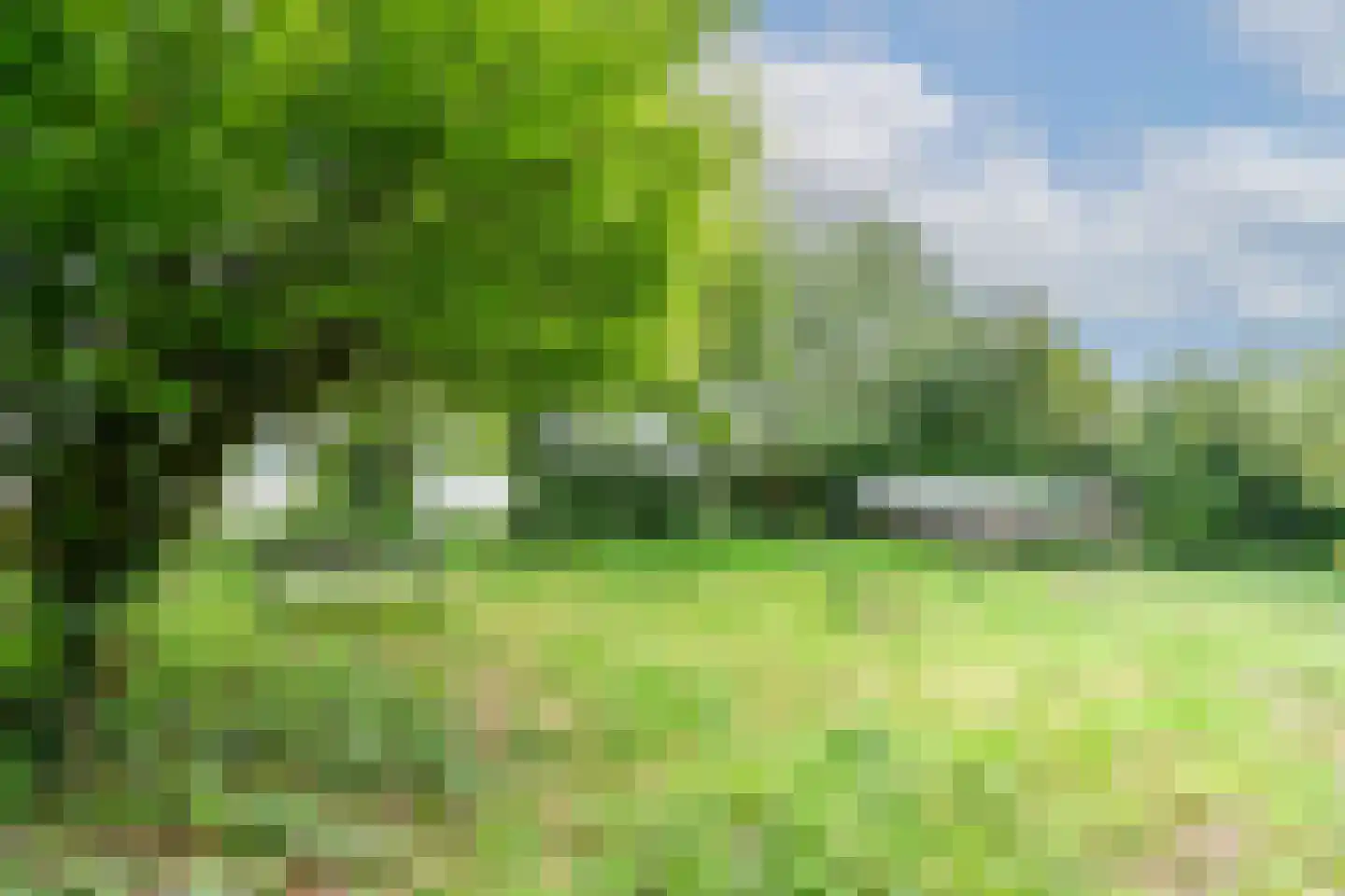 Oudeweg 1095 Reeuwijk thumbnail 5