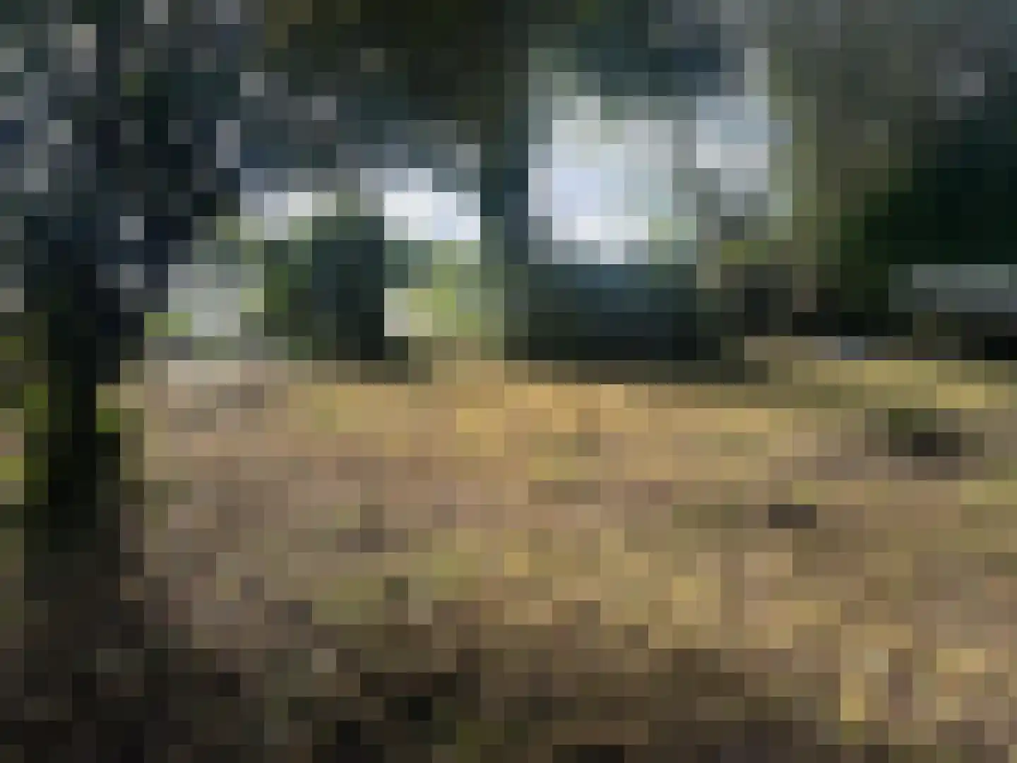 Oudeweg 1095 Reeuwijk thumbnail 6