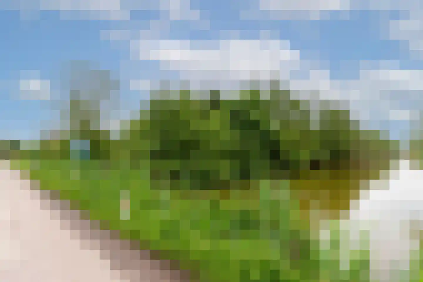 Oudeweg 1095 Reeuwijk thumbnail 8