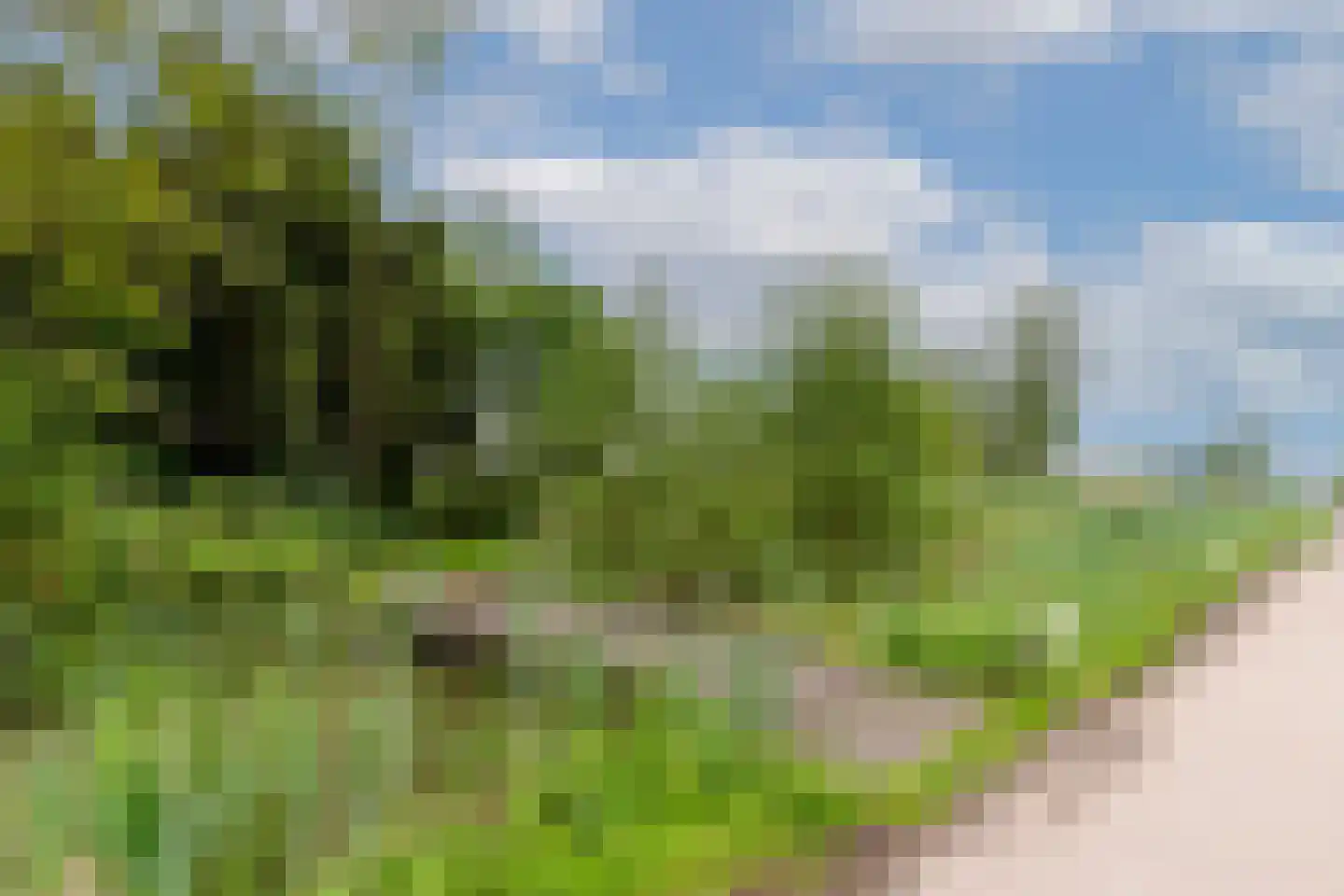 Oudeweg 1095 Reeuwijk thumbnail 9
