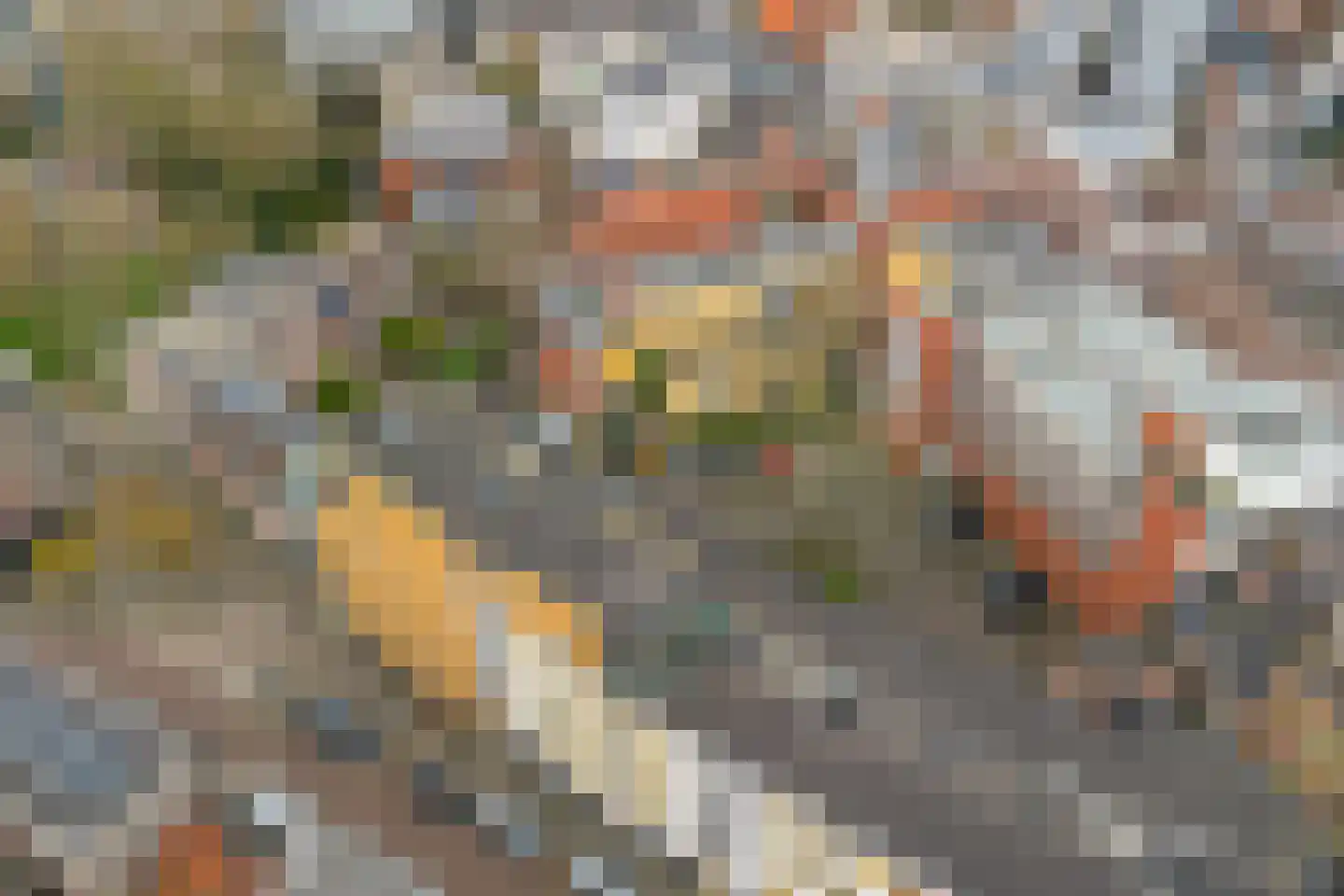 Oudeweg 111 Groningen thumbnail 35