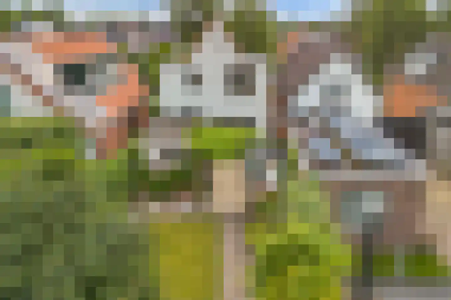 Oudeweg 113 Drachten thumbnail 35