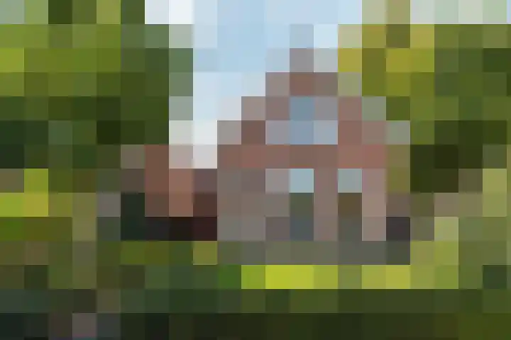 Oudeweg 115 Drachten thumbnail 4