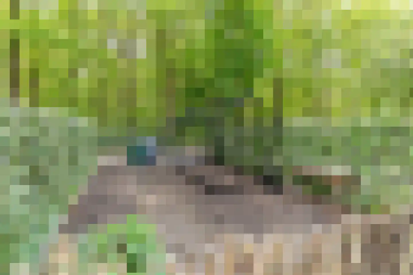 Oudeweg 122 Hulshorst thumbnail 32