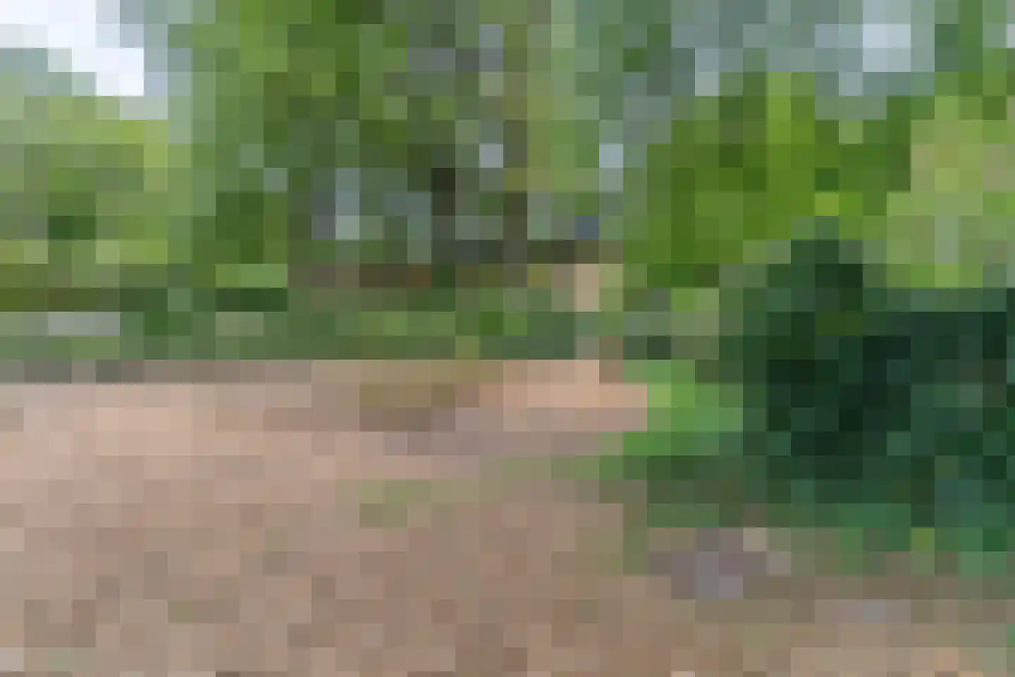 Oudeweg 122 Hulshorst thumbnail 39