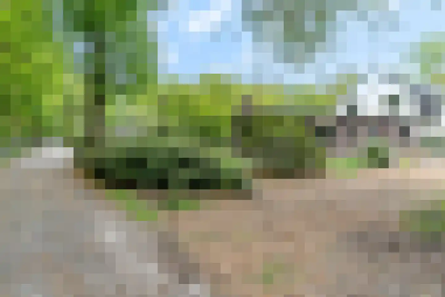 Oudeweg 122 Hulshorst thumbnail 6