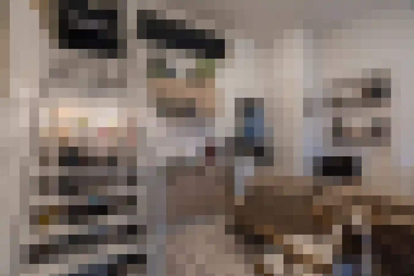 Oudeweg 13 Beerta thumbnail 18