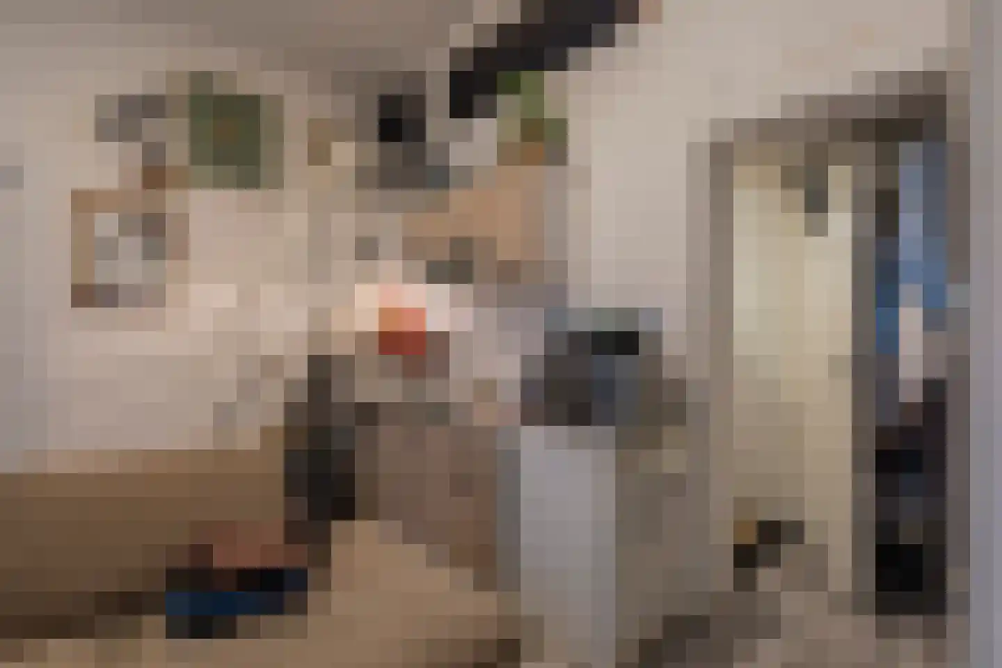 Oudeweg 13 Beerta thumbnail 20