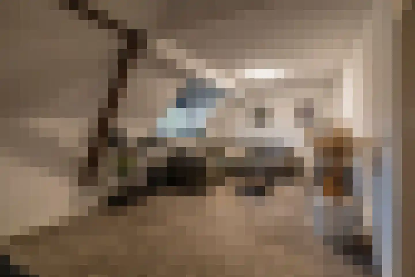 Oudeweg 13 Beerta thumbnail 28