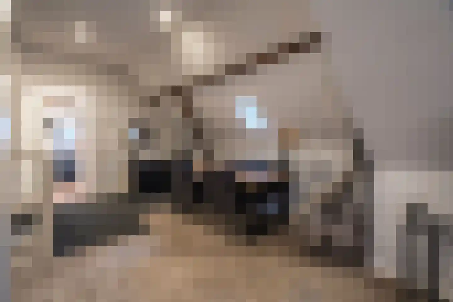 Oudeweg 13 Beerta thumbnail 29