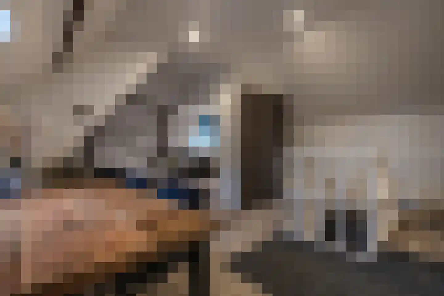 Oudeweg 13 Beerta thumbnail 31