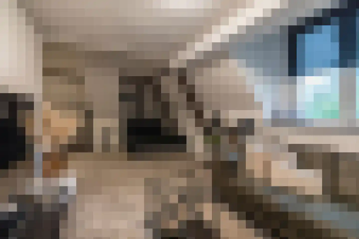 Oudeweg 13 Beerta thumbnail 32