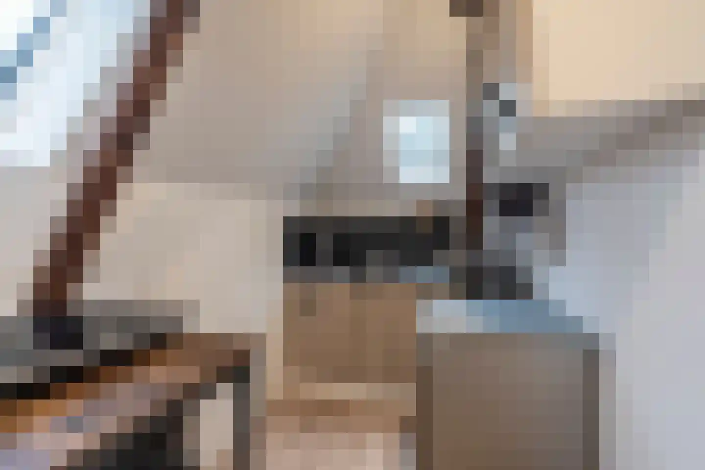 Oudeweg 13 Beerta thumbnail 33