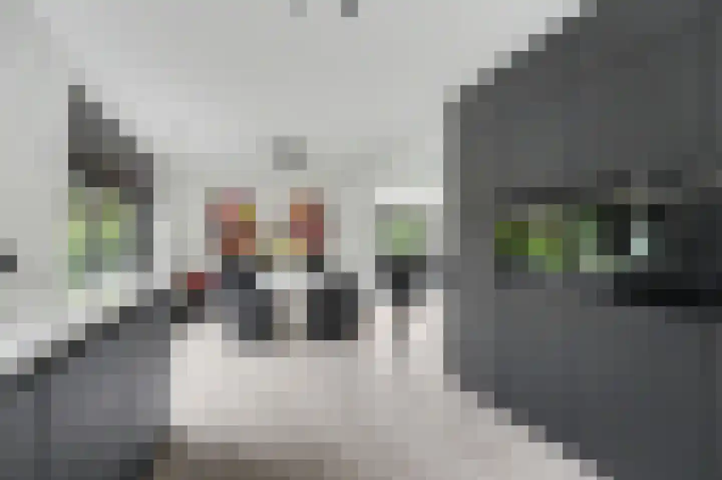 Oudeweg 13 Reeuwijk thumbnail 19